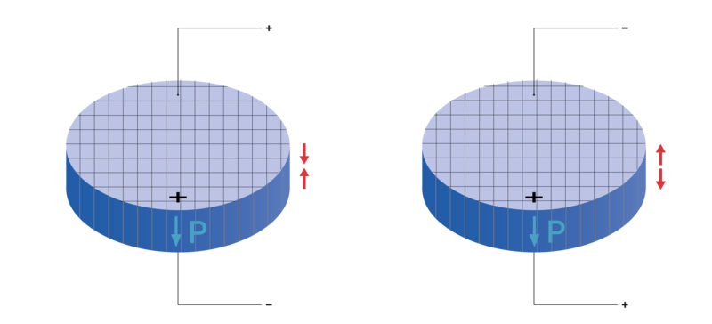 PI Ceramic 1-3 composite discs