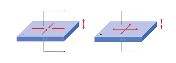 Standard plates: Axial and radial displacement due to longitudinal and transversal effect
