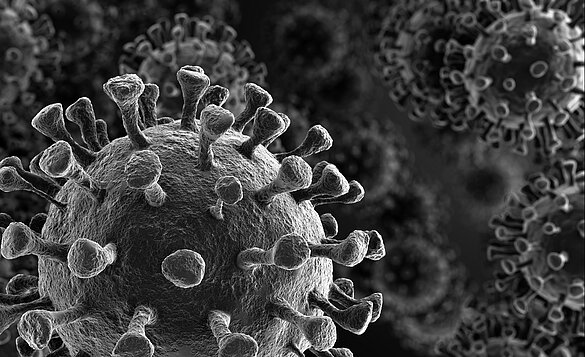 3-D rendering of the coronavirus based on images taken with an electron microscope